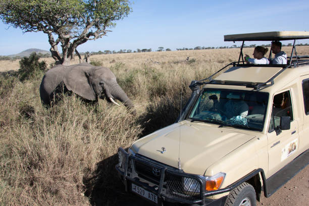 5 day serengeti migration and ngorongoro safari